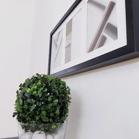 公寓 Gecko Centrum *