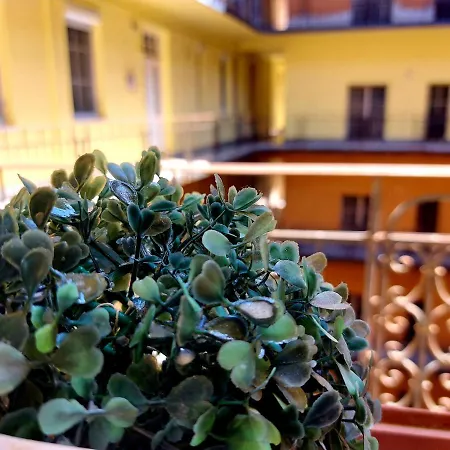 Gecko Centrum * Budapešť
