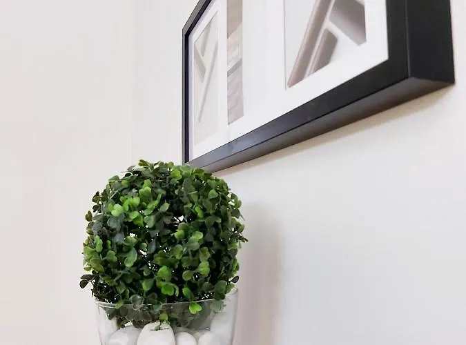 Apartament Gecko Centrum