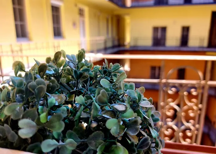 Gecko Centrum * Budapesta