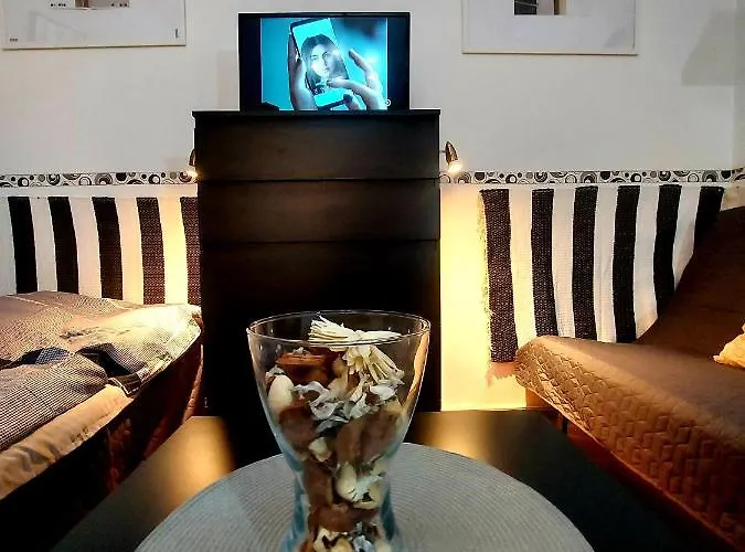 Gecko Centrum Budapesta